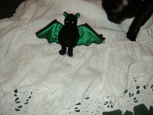 Bat picture