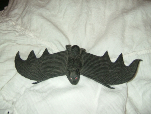 Bat picture