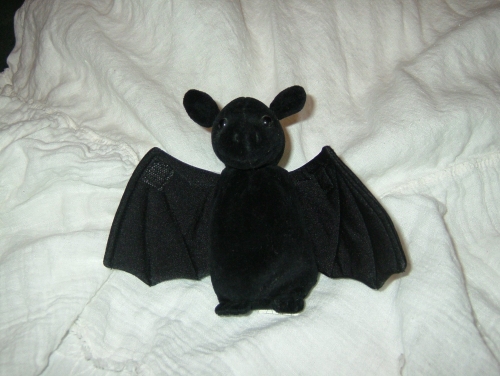 Bat picture